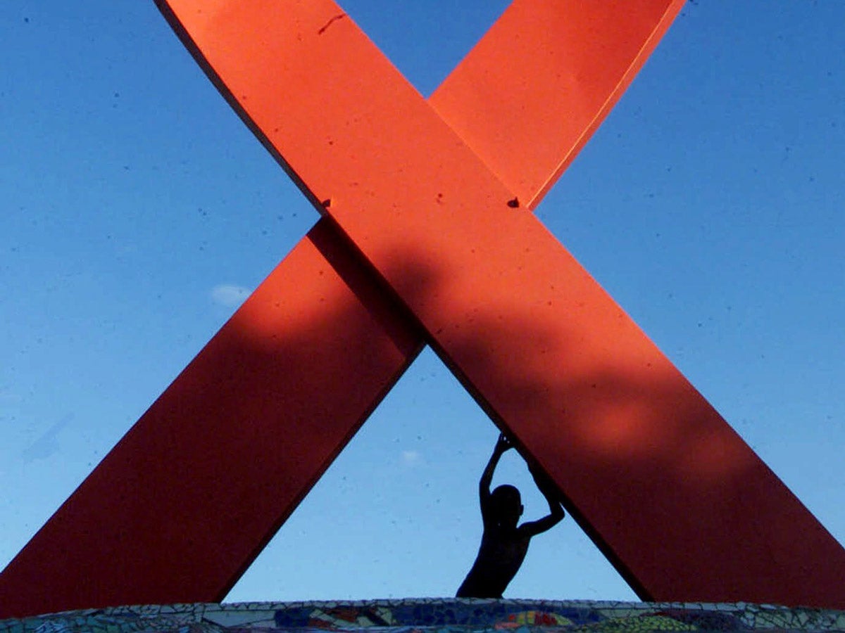 A giant AIDS red ribbon statue. A young silhouetted child pushes against one strand.